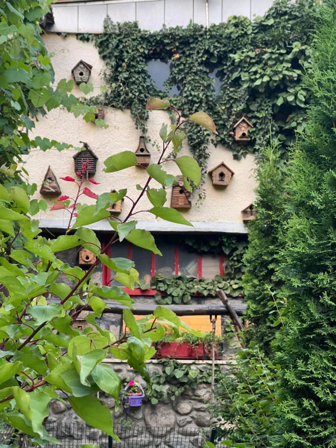 Artsiv Guesthouse Dilijan Exterior photo